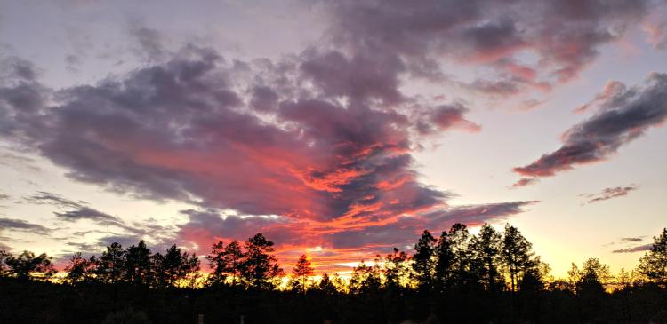 dramatic pink and purple sunset in Flagstaff, Arizona