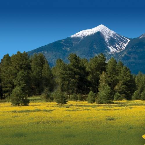 2023 Flagstaff Festivals graphic