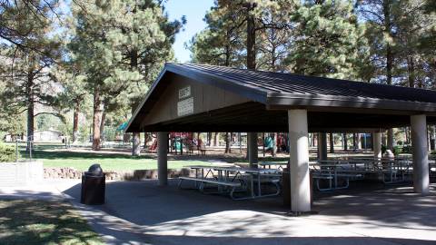 Bushmaster Park (Bark Park & Skate Park on site)