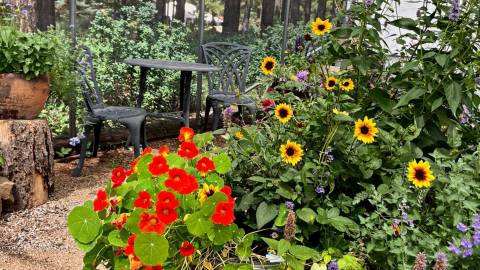 The Arboretum at Flagstaff