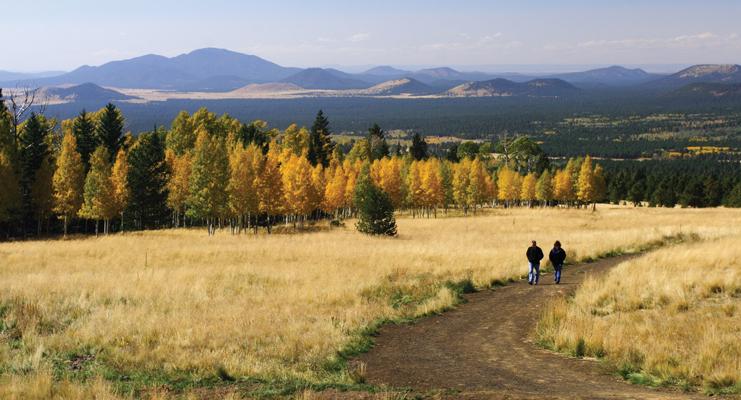 hikers on trail in the fall