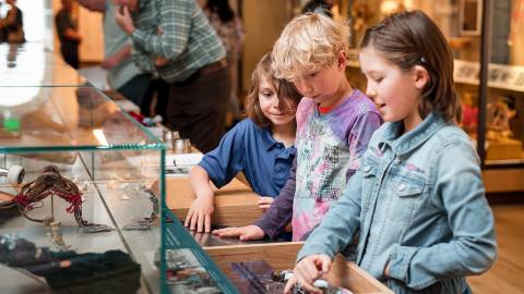 Museum of Northern Arizona