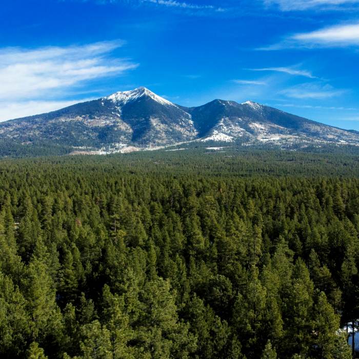Snowy Flagstaff peaks with a large green pine forest