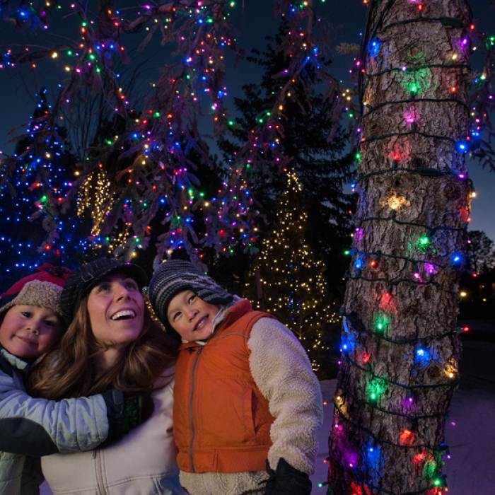 mom and her two children bundled up and admiring Christmas lights in Flagstaff