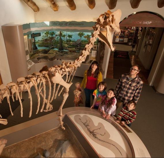 a family of six stares in amazement at a dinosaur skeleton in the Geology Gallery in Museum of Northern Arizona