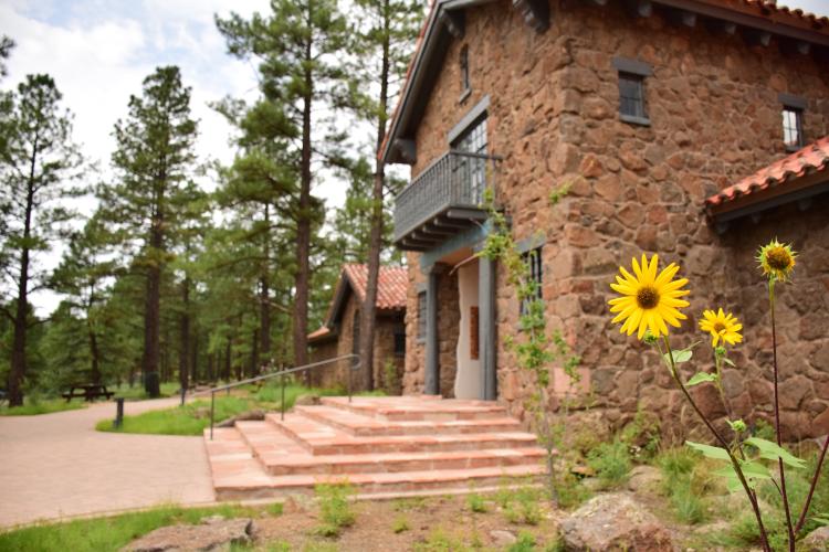 Entrance to the Museum Of Northern Arizona with sunflowers growing nearby