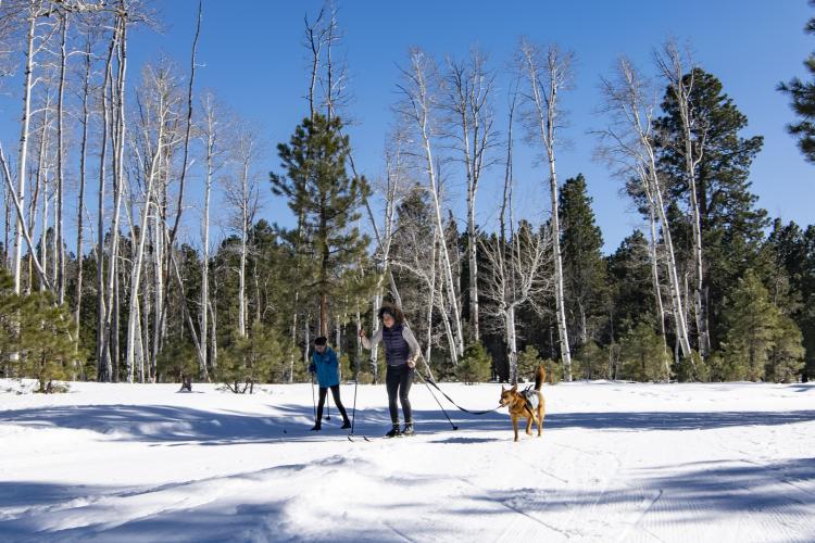 two people cross-country ski with their dog at Nordic Village