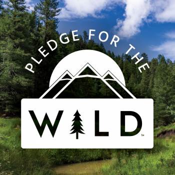 Pledge for the wild banner