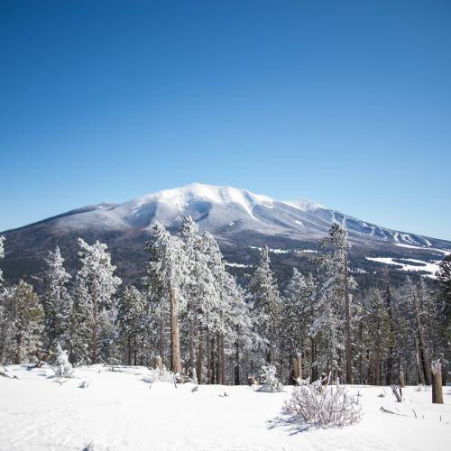 A mountain in Flagstaff, AZ covered in fresh snow during winter