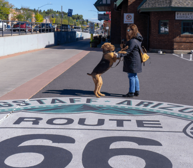 A woman hugging her dog by the iconic Route 66 landmark in Flagstaff.