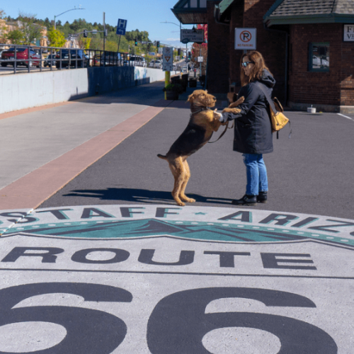 A woman hugging her dog by the iconic Route 66 landmark in Flagstaff.
