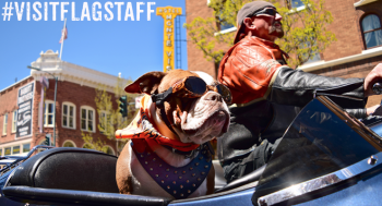 see what’s being shared by others on instagram